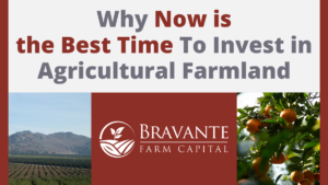 Why Now is the Best Time to Invest in Agriculture