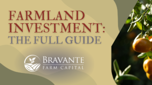 Farmland Investment Full Guide