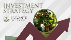 Farm Investing Strategy Guide